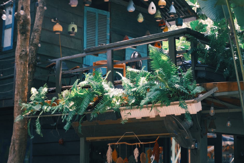 Walmart Deal | Boston Fern Hanging Basket