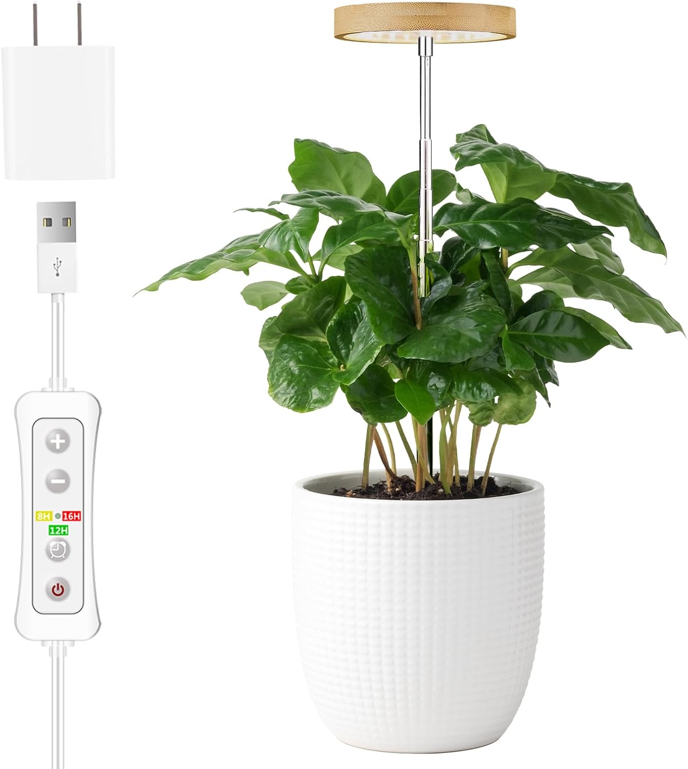 Plant Grow Light for Indoor Plant,Bamboo Mini LED Grow Light deal at Amazon