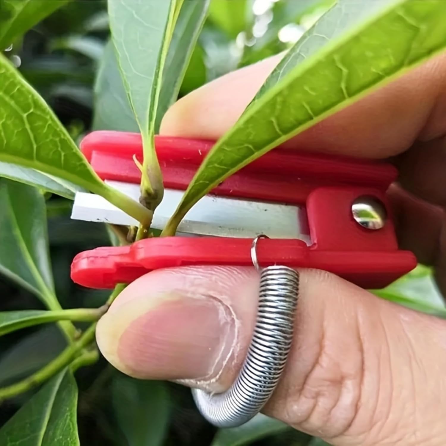 Gardening Tools from Only $2.62 at Amazon