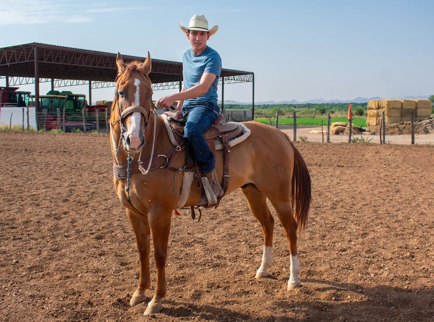 Up to 60% Off Ariat Sale + Extra 20% Off & Free Shipping
