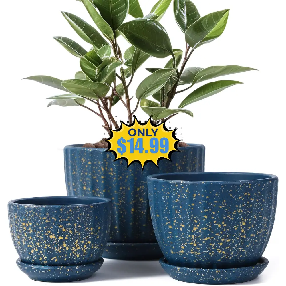 STHIE Ceramic Plant Pots Deal