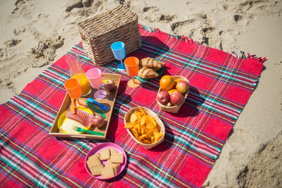 NEW Sun Squad Snack Containers! Perfect for Your Summer Outings!