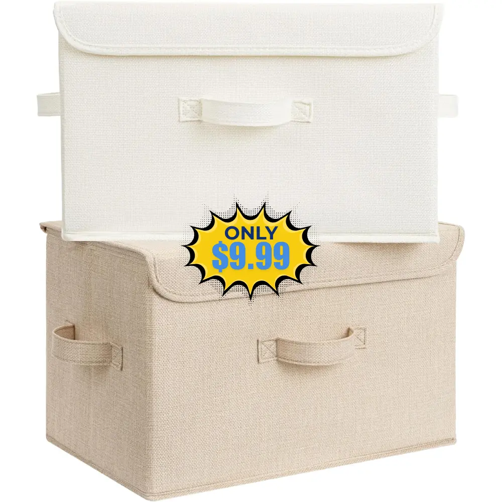GRANNY SAYS Stoarge Basket 2-Pack Deal: Save 20%
