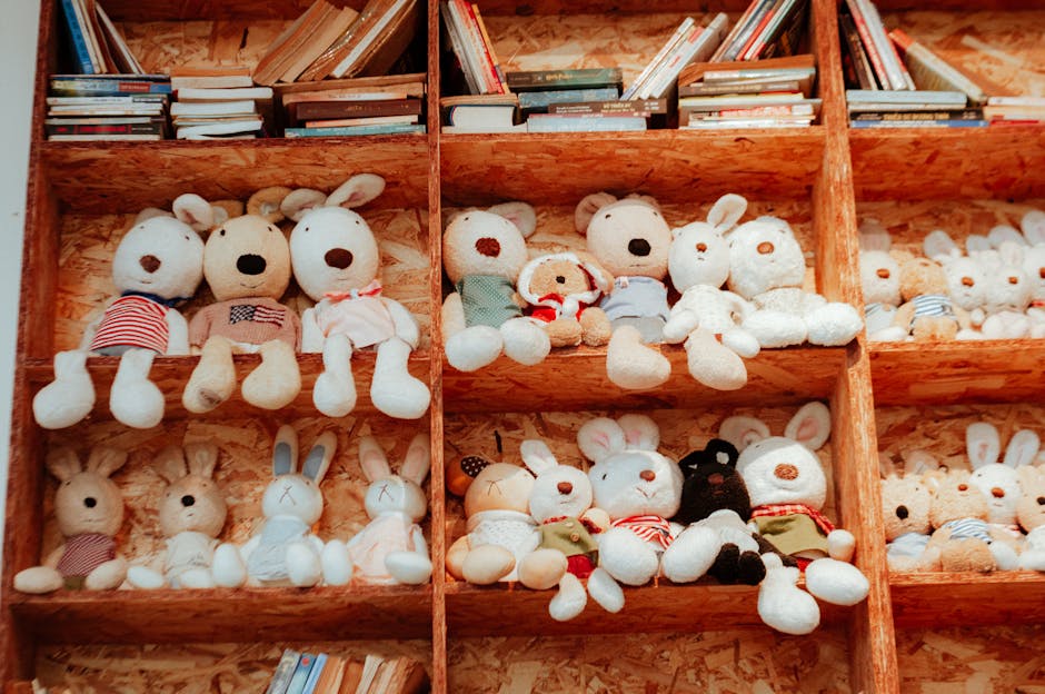 Disney Book & Toy Organizers Only $25 at Walmart