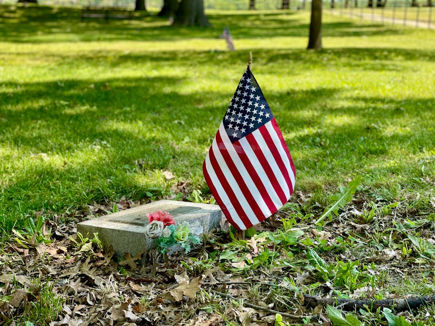 Kohl’s Memorial Day Sale featuring throws and Ninja SLUSHi products