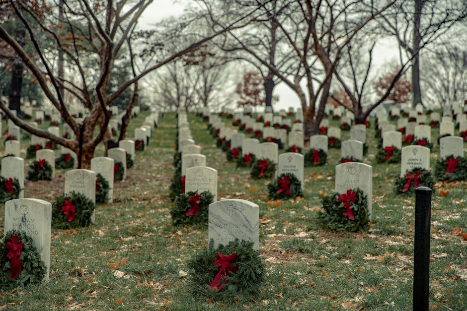 Americana Wreaths Only $19 (Reg. $50) at Kohl’s