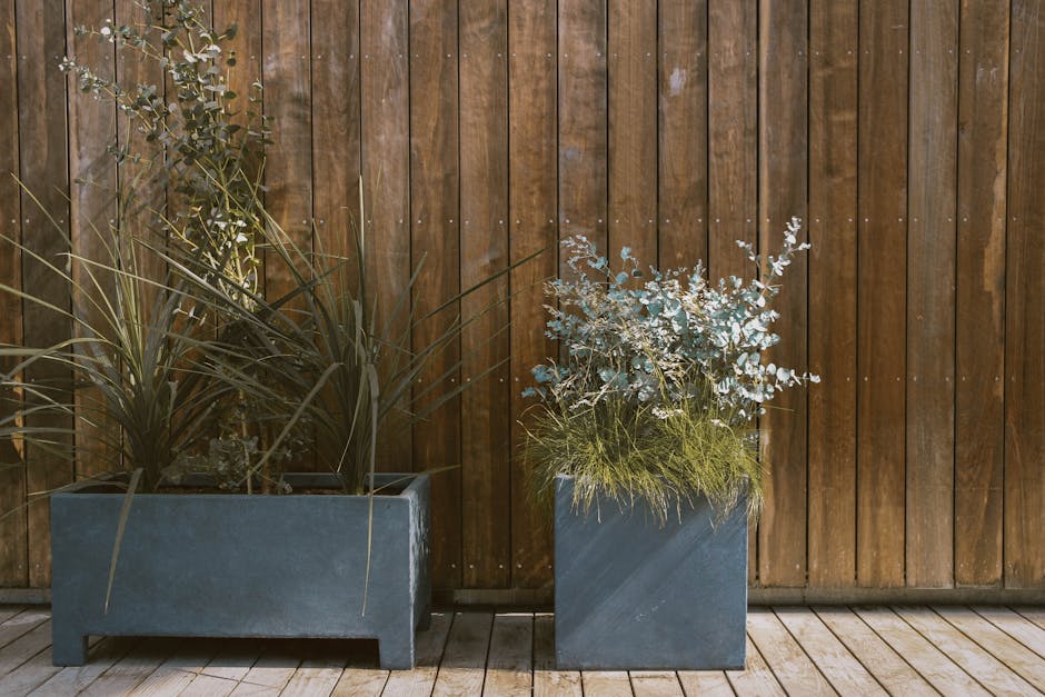 My Texas House Planters Only $9 at Walmart
