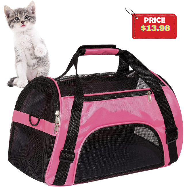 Cat Carrier Deal: Save at Petco