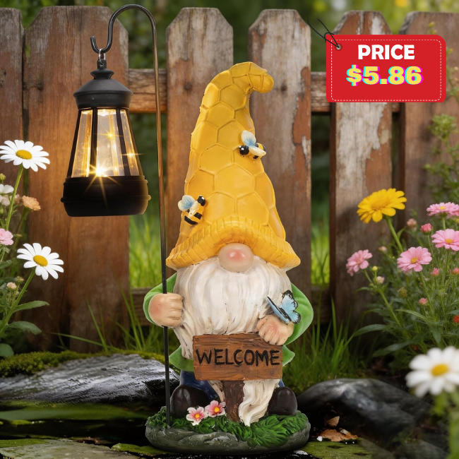 Solar Garden Gnome Statue with Lantern Promo: Save on this amazing product