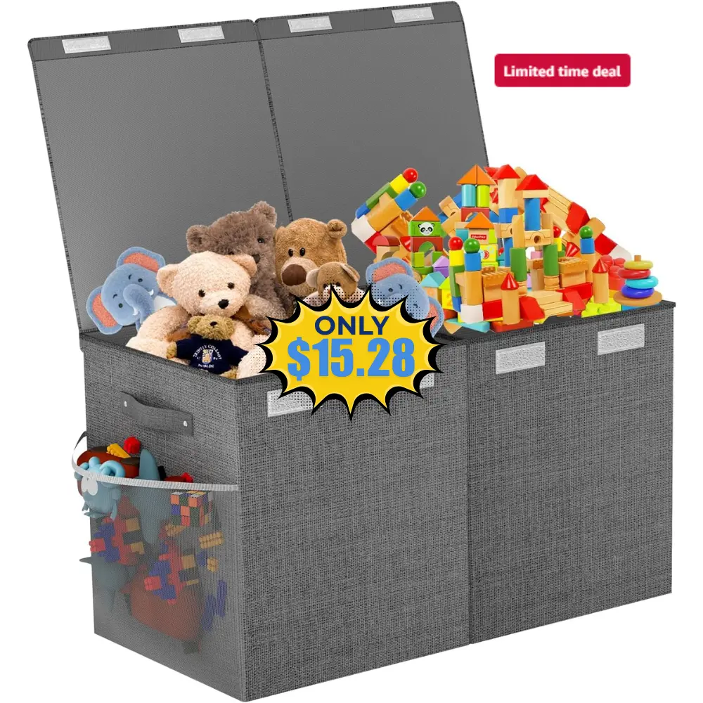 Large Toy Box Chest Deal: Save 30%