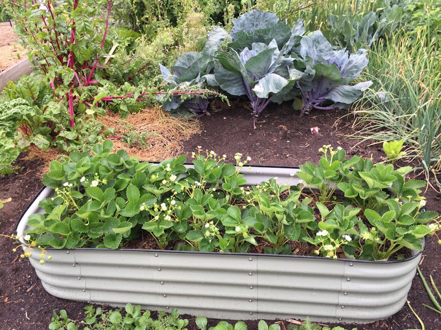 4-Foot Galvanized Raised Garden Bed Only $26.99 at Walmart