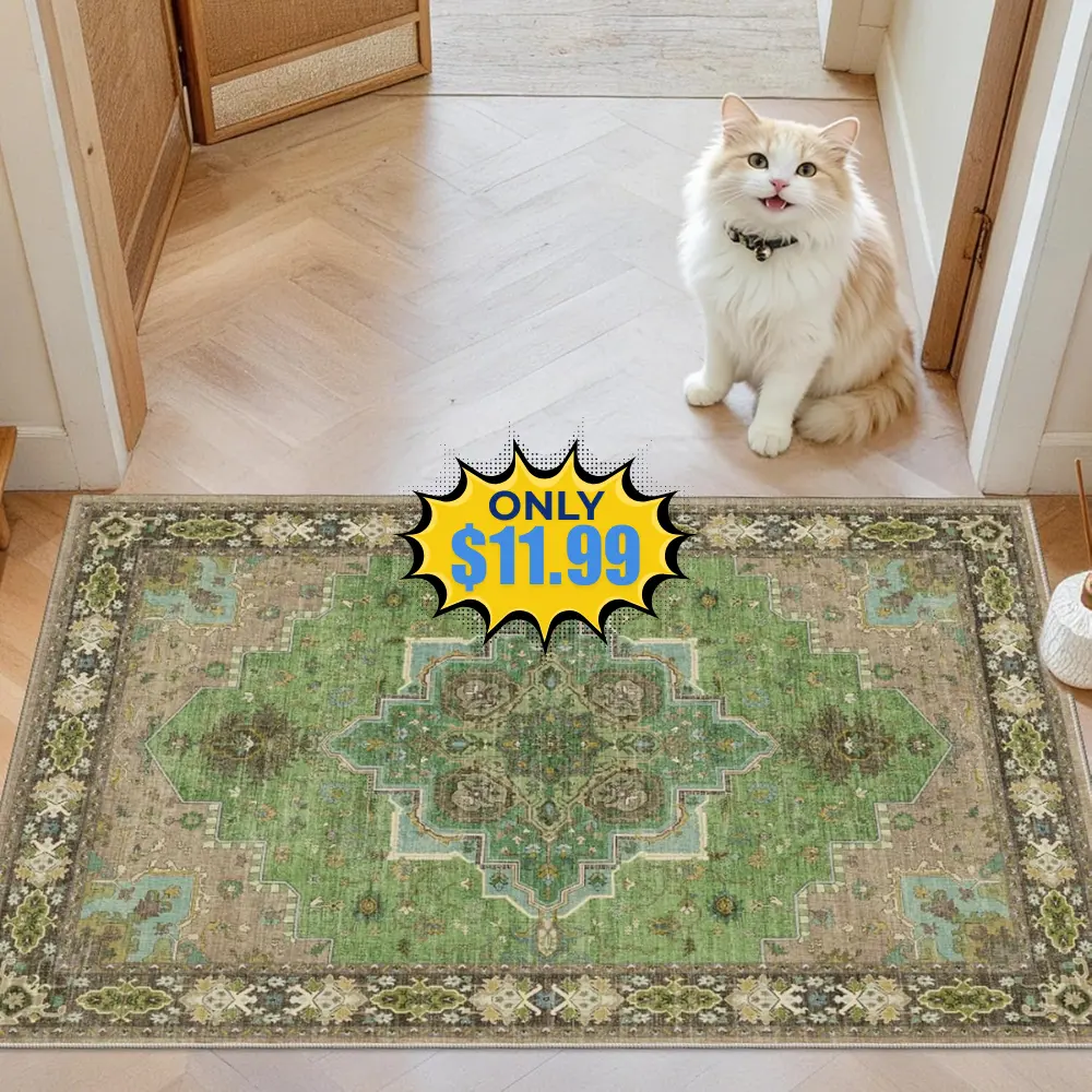 2×3 Washable Entry Rug Deal: Save 52%