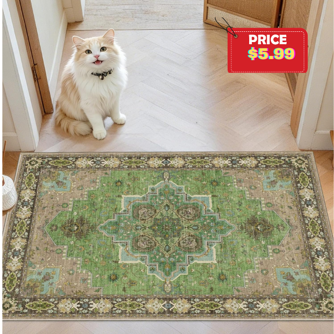 Washable Entry Rug Sale: Save 50%
