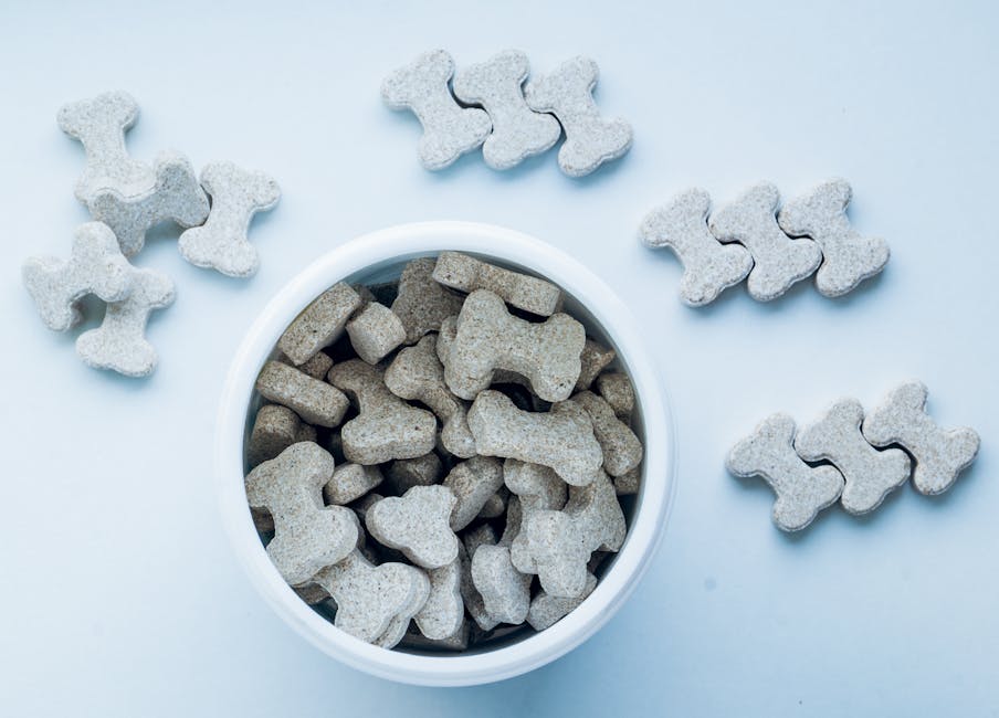 Milk Bone GravyBones Dog Biscuits Only $2 (Reg. $9) at Walmart