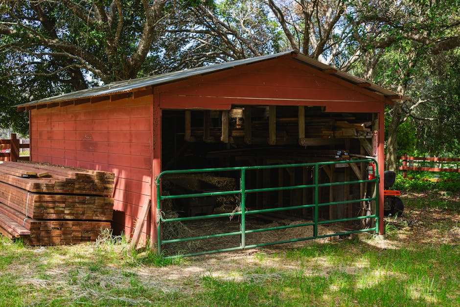 Outdoor Storage Shed Only $119 at Walmart