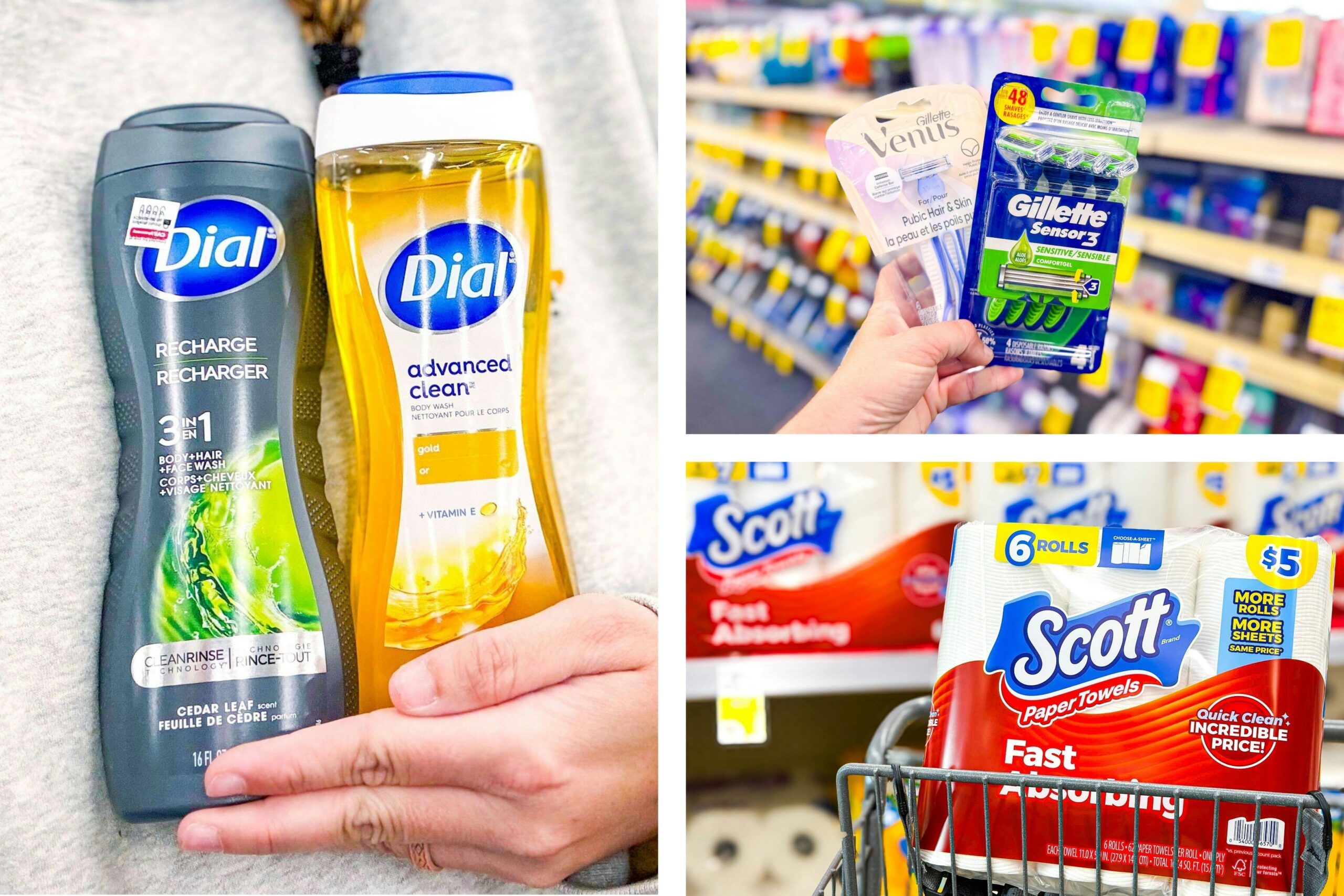 Dial Body Wash Only $1.17 at Walgreens