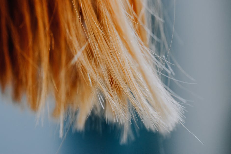 20% Off Haircare & Beauty at JCPenney (Olaplex from Only $24