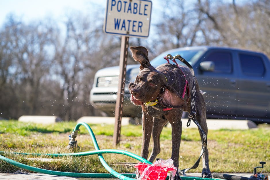 So CUTE for Summer! Target Sun Squad Pools, Sprinklers, & Splash