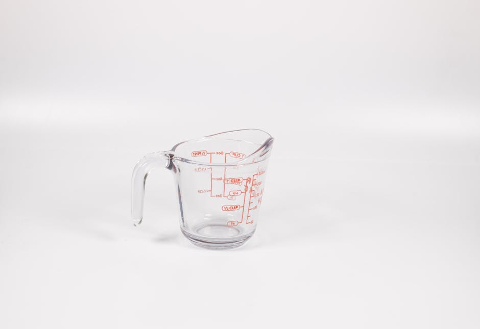 Toastmaster 1.5-Cup Mini Chopper Only $9.99 (Reg. $24.99) at Kohl’s
