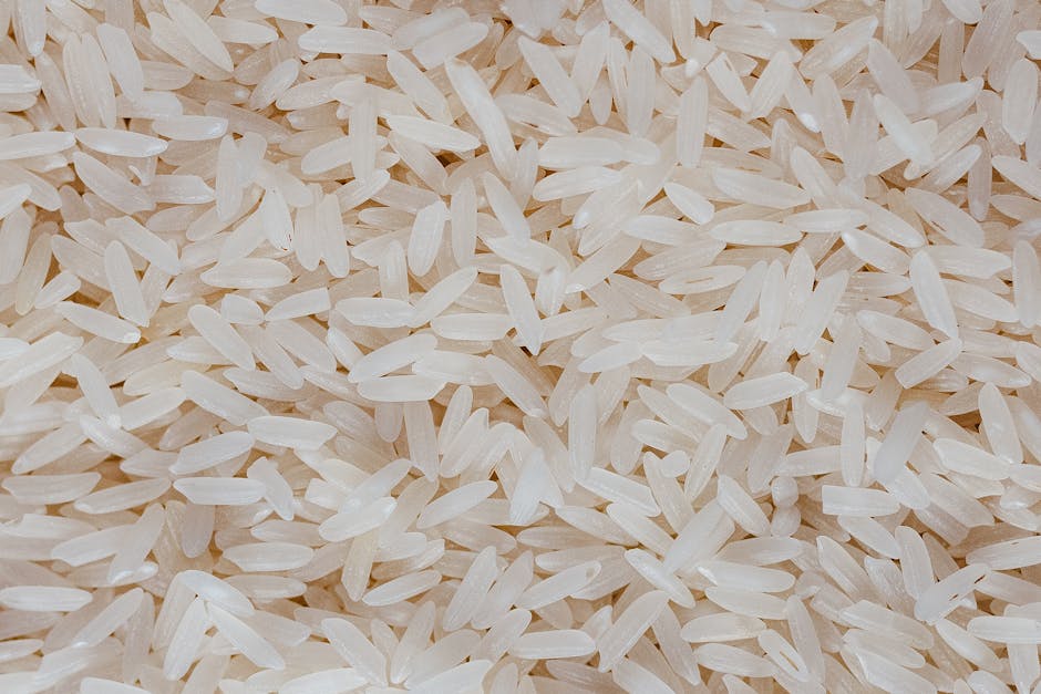 Royal Basmati Rice 30-Pounds for Only $29.97 (Reg. $47.98) at Amazon