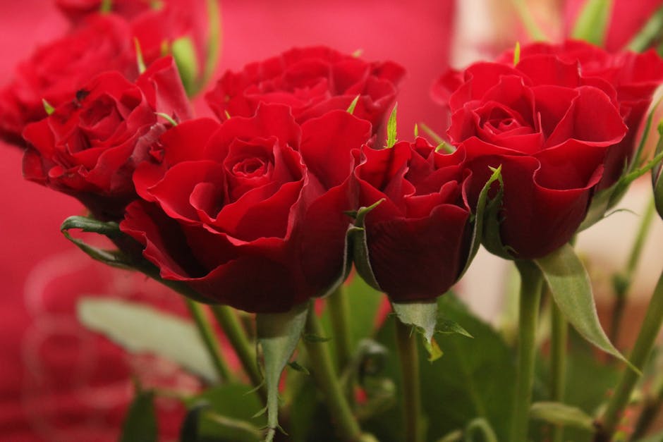 LEGO Icons Bouquet of Roses for Mother’s Day 10328 – Just