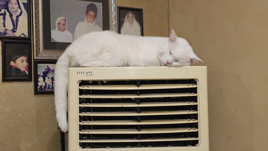 Arctic Air Cooler Just deal at Walmart