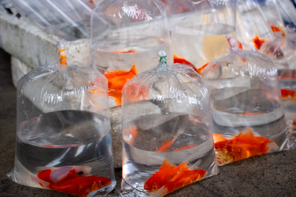30% Off Clear Bags at Target deal at Target