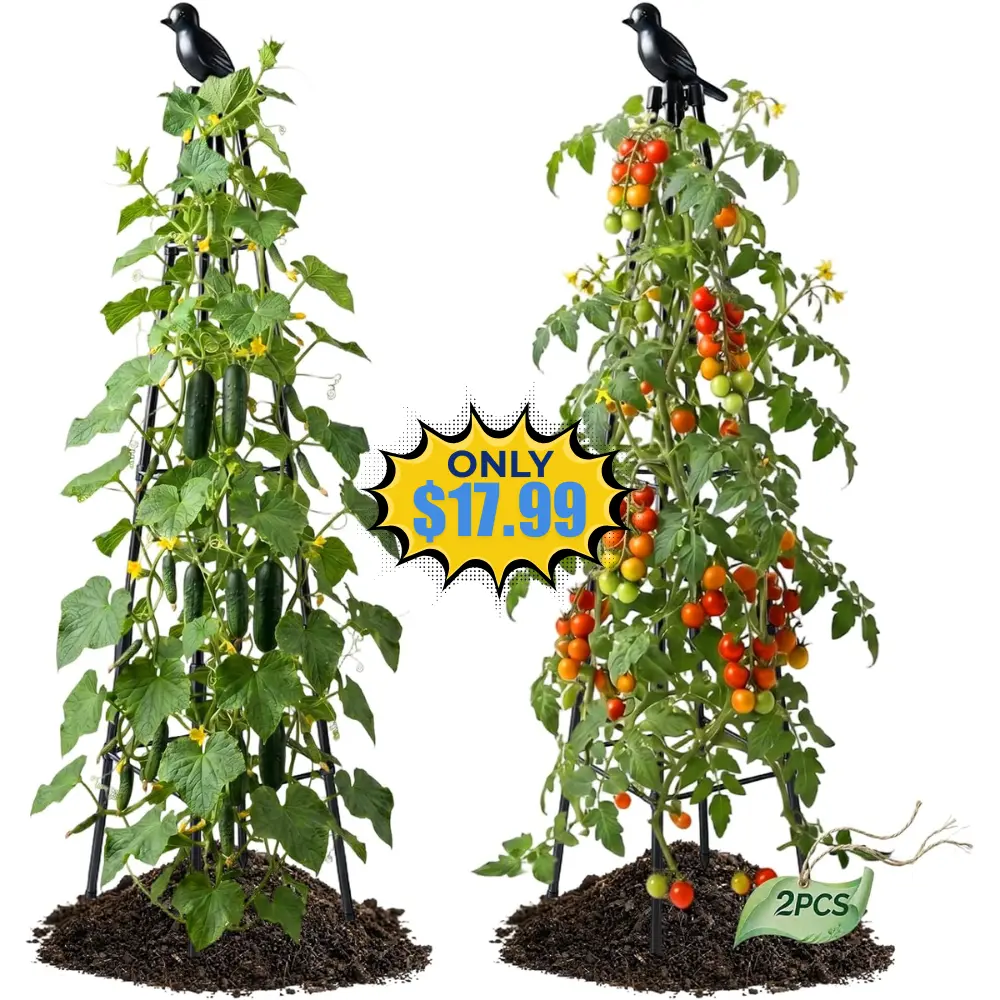 2 Pack 4FT Tall Obelisk Garden Trellis Deal at Amazon: Save with promo code