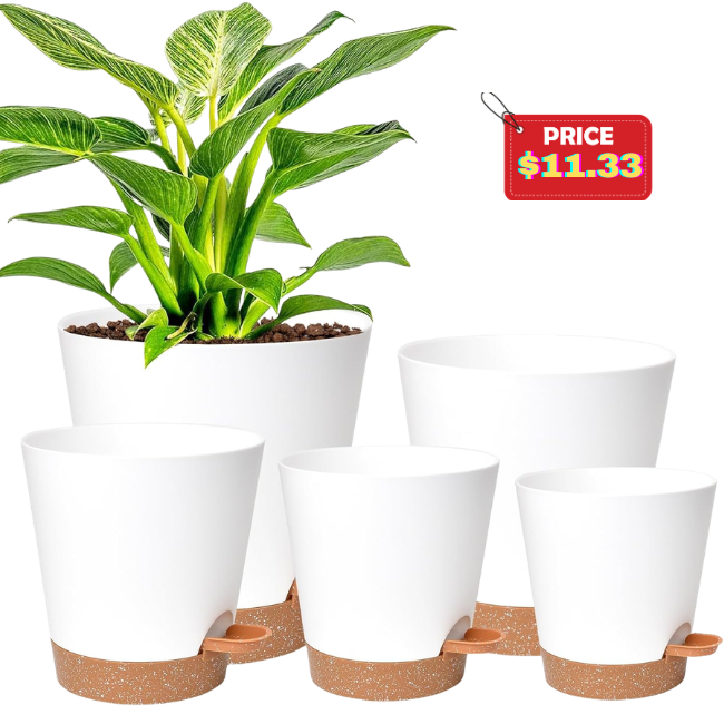 Indoor Plant Planters Deal: Save at Amazon