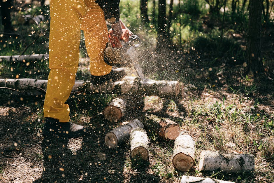 Mini Chainsaw with 2 Batteries Only $34.99 (Reg. $50) at Amazon