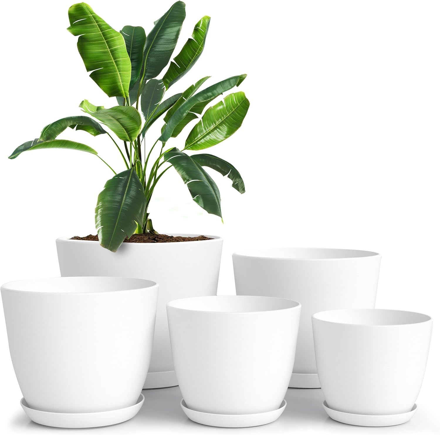 Indoor Plant Pots with Drainage: Save 47% at Amazon