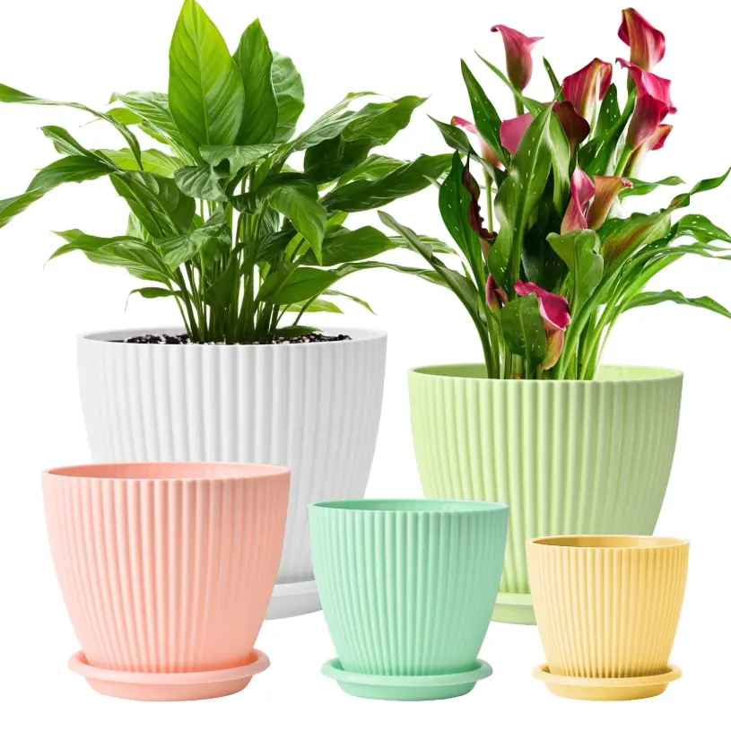 5-Pack Plastic Multicolor Plant Pots Deal: Save $14.30 at Walmart
