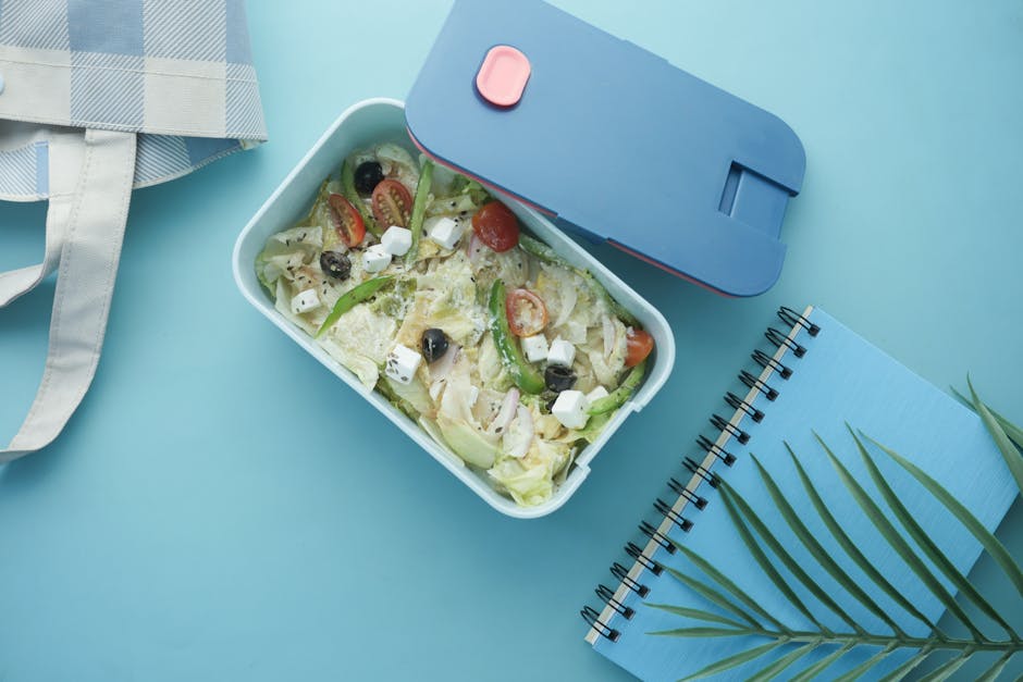 Portable Heated Lunch Box JUST Only $19.99 (Reg. $35) at Amazon