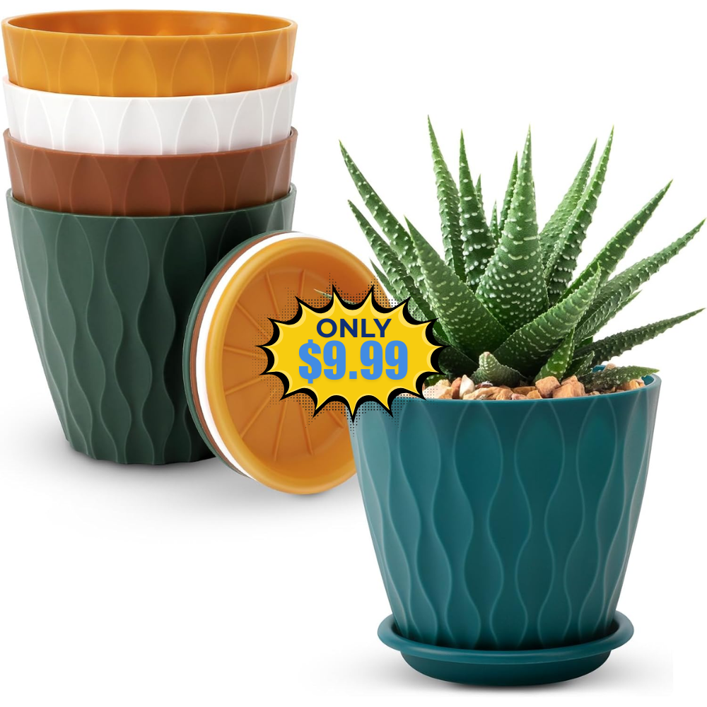 YNNICO 4 inch Plant Pots Deal: Save 29% on 5 Pack at Amazon
