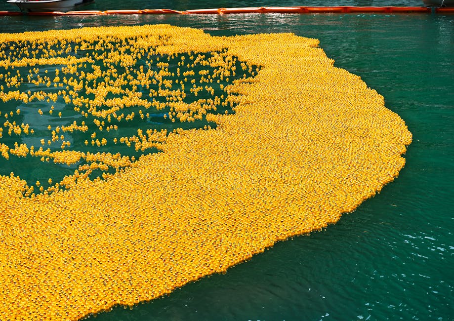 FREE LEGO Build a Duck Event on June 11th!