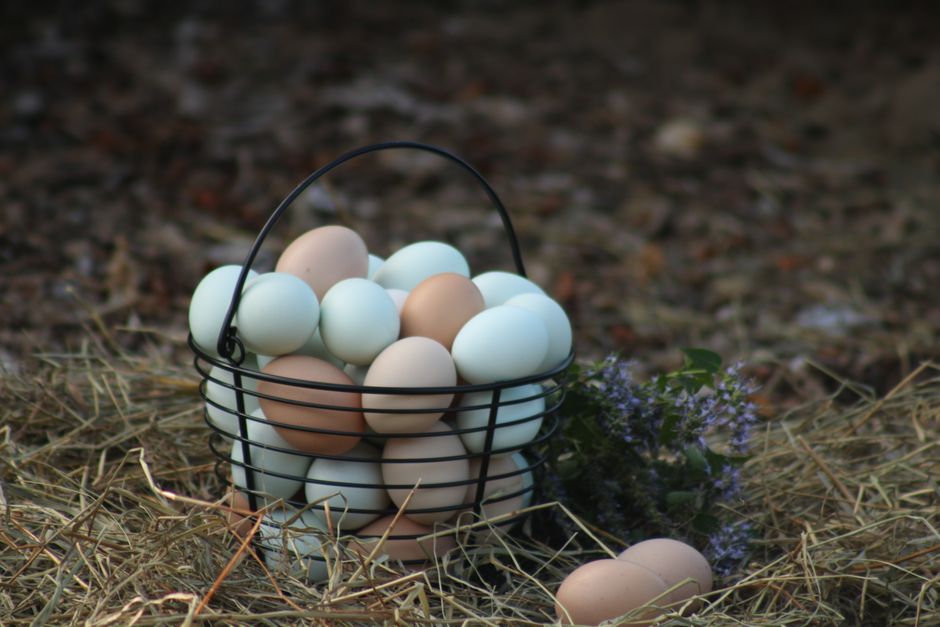 $2.24 Nellie’s Free Range Eggs Only $2.24