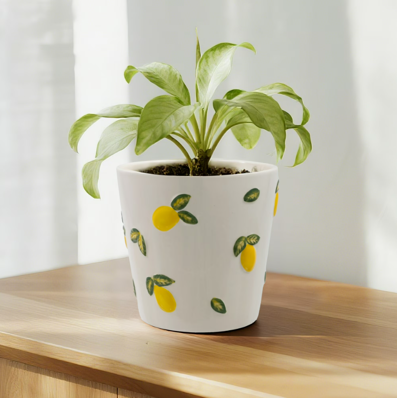 Round Cream and Yellow Ceramic Lemon Planter Deal: Save $3.11 at Walmart