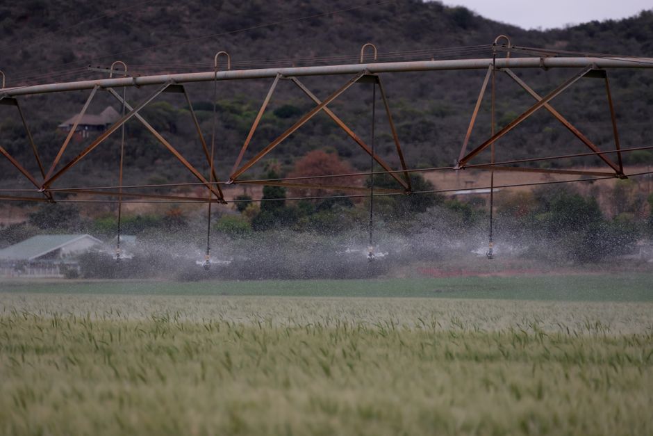 Coolest Way to Beat the Heat? This 5-Foot Rocket Sprinkler a deal at CVS