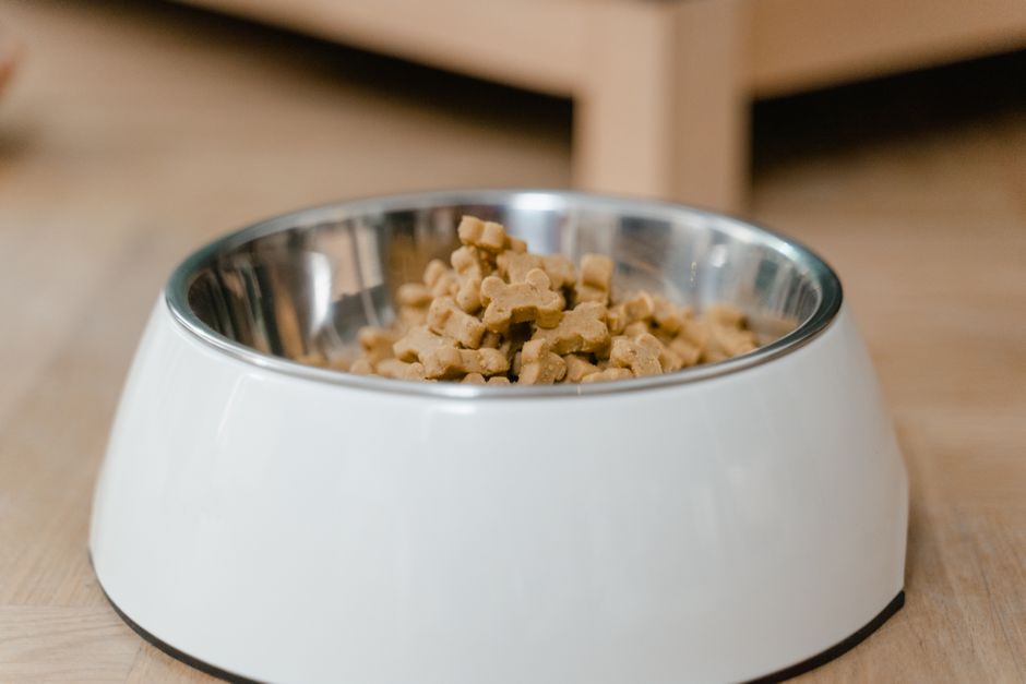 $10.99 Loving Pets Elevated Dog Only $10 (Reg. $15.64) at Amazon
