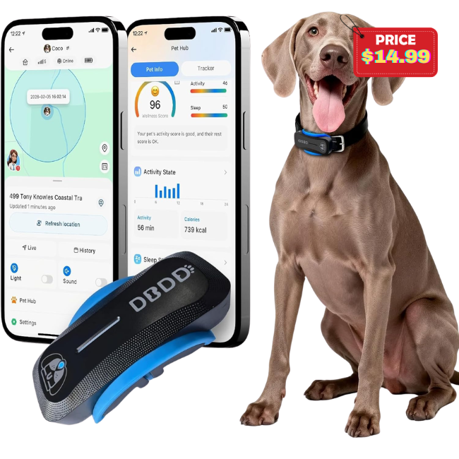 DBDD AI GPS Tracker for Dogs Deal: Save 70% at Amazon