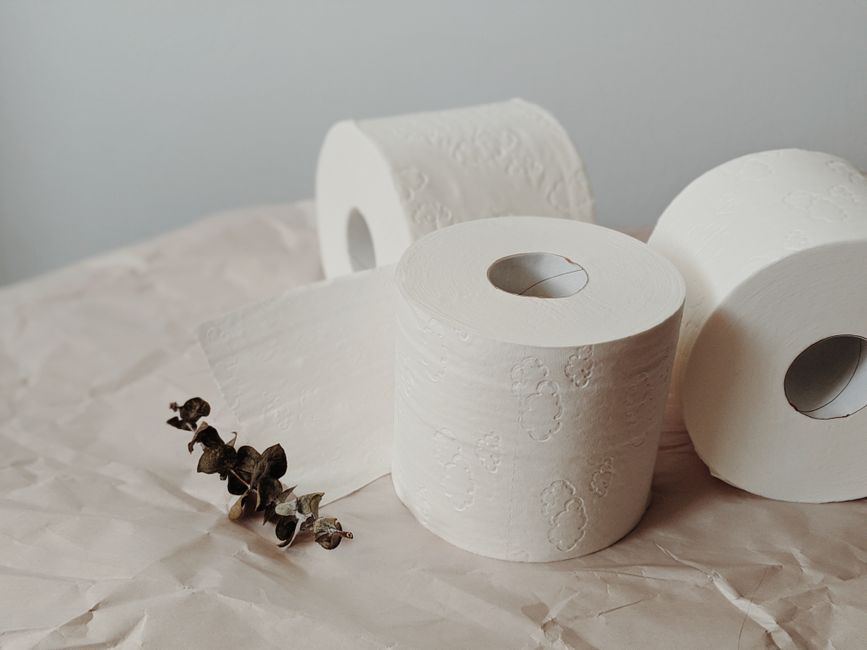 $7.99 Charmin Ultra Soft Toilet Only $7.97 (Reg. $9.99) at Amazon