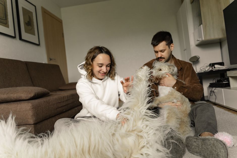These Washable Rugs Are a Game Changer for Pet Owners & They’re