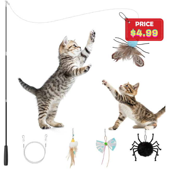 4-in-1 Interactive Cat Toys Deal: Save 50% at Amazon