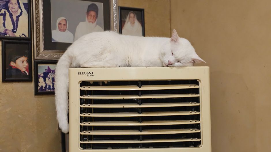 Personal Air Cooler Only $65