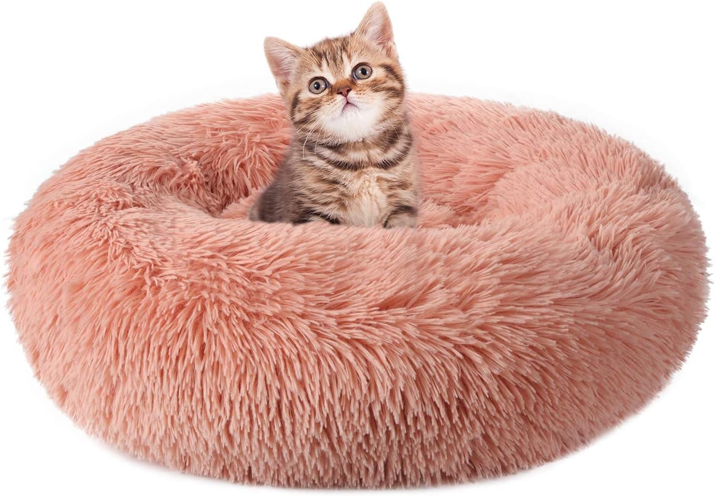 rabbitgoo Cat Beds for Indoor Only $18.88 (Reg. $22.94) at Amazon
