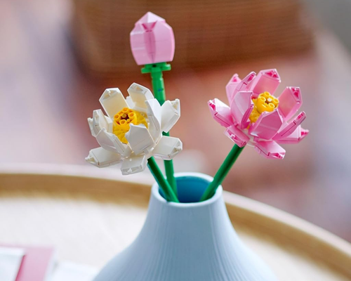 LEGO Botanicals Collection Deal at Amazon