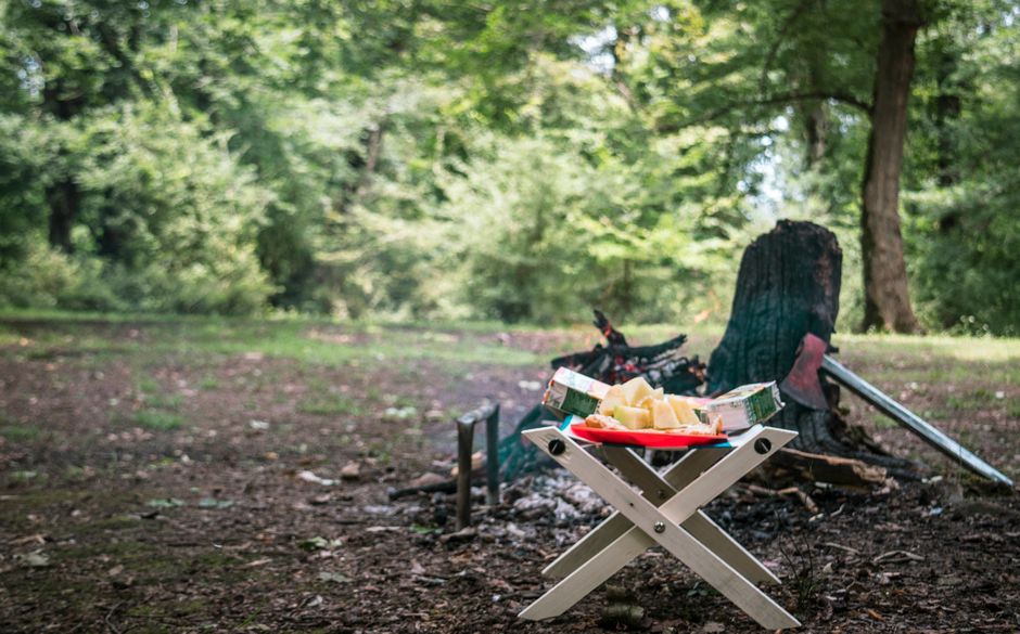 Ozark Trail Blue 10″ Picnic Tray & Camping Plate Only $1 at Walmart