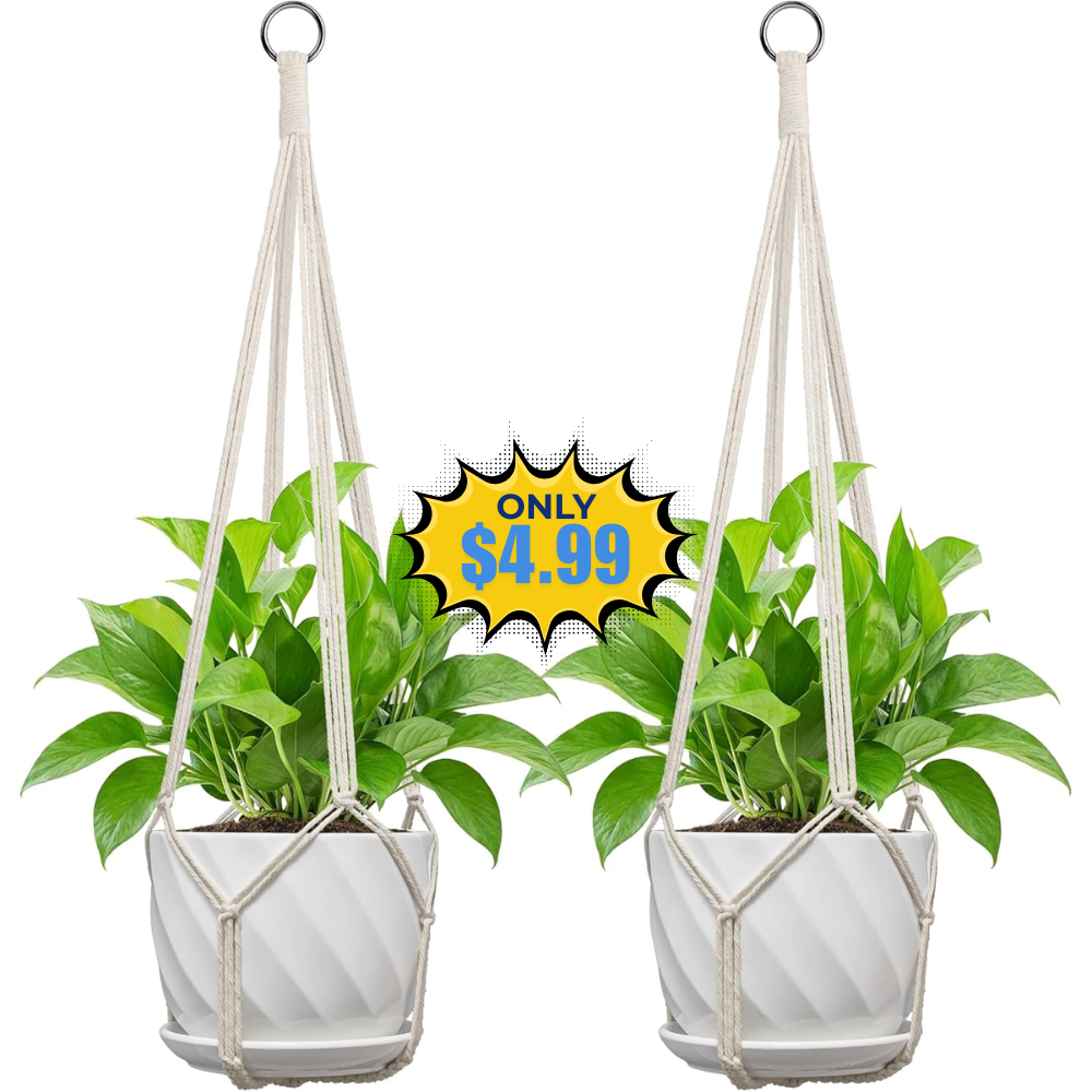 Macrame Plant Hanger Deal: Save 33% at Amazon