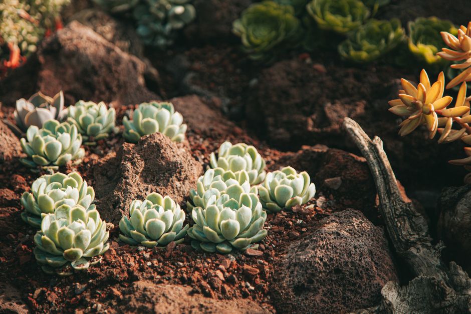 Miracle-Gro Garden Soil Just Only $2 (Reg. $5)