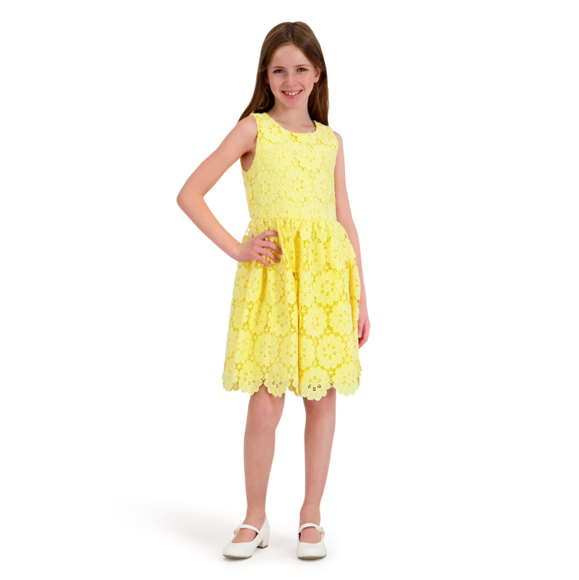Kensie Girl Sleeveless Lace Fit and Flare Dress Deal: Save $18.59 at Walmart